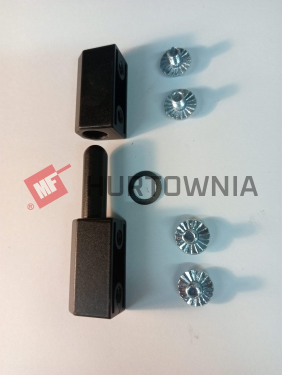 Zawias osiowy 180POD-OGL-000916.jpg