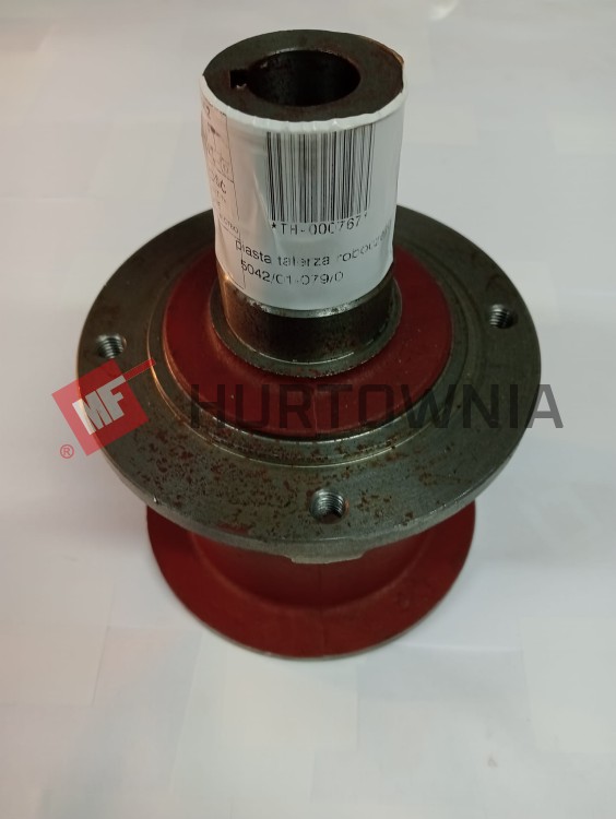 TH-000767 PIASTA TALERZA ROBOCZEGO.jpg