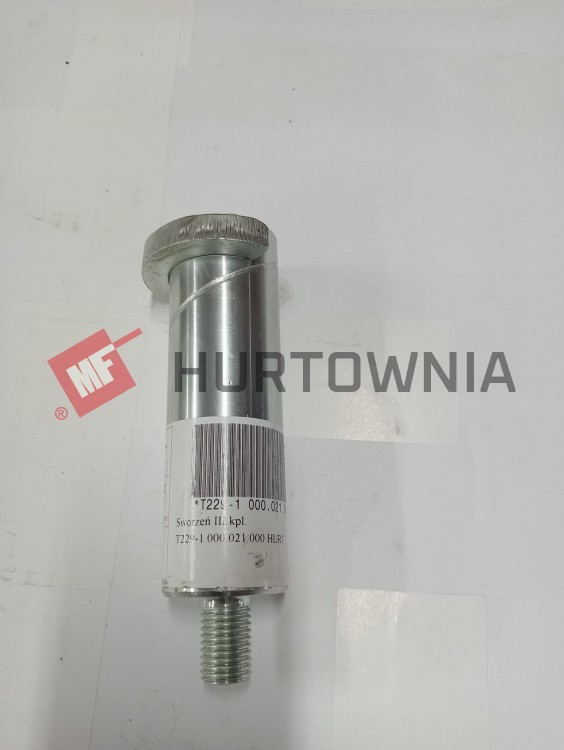 T229-1 000.021.000 HURT.jpg